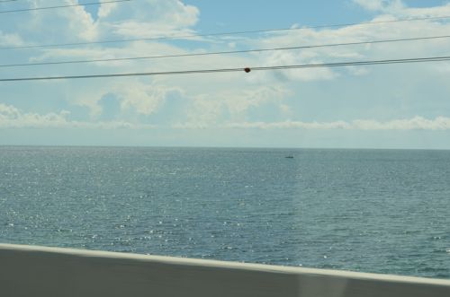 Von Key West nach Islamorada – Bild 3 von 23